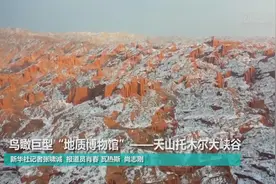鸟瞰巨型“地质博物馆”——天山托木尔大峡谷视频封面