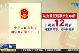 刑责年龄底线降至12周岁  对未成年人犯罪宽容不纵容视频封面