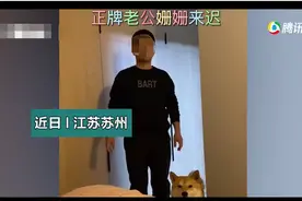 柴犬与男主人争夺“老公”称号，被一顿“收拾”仍不消停图片