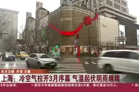 上海：冷空气拉开3月序幕  气温起伏阴雨绵绵视频封面