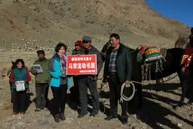 新疆和静刘菊花：何须浅碧青红色图片