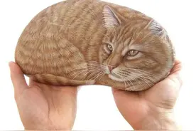 石头绘：原来每颗石头里面都住着一颗灵魂图片