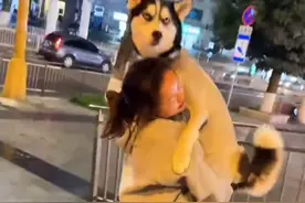 女孩酒后坚持抱同学家60斤哈士奇走100多米，最终闪着腰图片