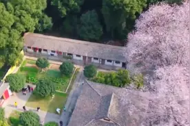 江西庐山早樱盛开如画