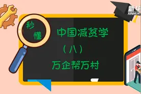 秒懂中国减贫学｜名词解释：万企帮万村视频封面