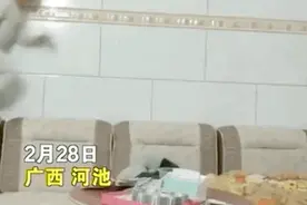 好家伙！广西7岁男孩徒手爬墙快如壁虎，这些小孩不一般图片