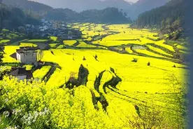 一路风景！南昌新辟2条旅游定制线路！途经这些景点……图片