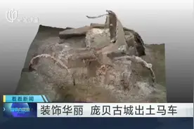 装饰华丽  庞贝古城出土马车视频封面