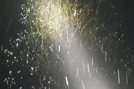 3月，杭州下雪了！又来一轮冷空气暴击，明天早晨尤其扎心图片