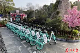 武汉东湖赏樱旅游专线来啦，还有“花花游园会”喊你玩图片