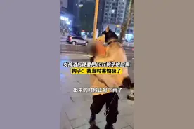 女孩酒后硬要抱60斤的狗子回家 狗子：我当时害怕极了图片