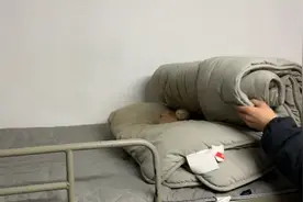 湖南一大学生返校发现床铺成了猫窝！被子里5只小猫仔，猫妈妈尚未找到，给找了个“奶妈”图片