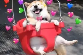 同床异梦！佛山女子错付真心 男友趁其熟睡“下黑手”图片