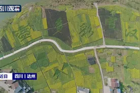 达州：多彩油菜花田扮靓乡间图片