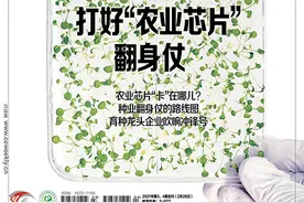 种业翻身仗的路线图图片