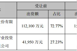 半导体龙头股再遭减持！作价逾7亿元，国家大基金清仓华天西安图片