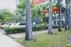 我的这5年｜走出营业大厅 上门办业务视频封面