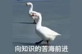 「能源小知识」太阳能电池板可以在夜间发电吗？图片