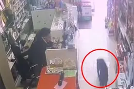 爱犬走失9天后自己跑回家，主人抱住激动大叫视频封面