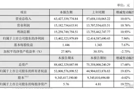 海康威视的内外变局图片