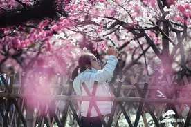 夜读｜春天是一点一点化开的图片