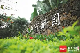 争取启动2所小学建设 改造22个老旧小区……海口秀英区今年重点任务有这些图片