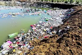 “环卫车”咋把垃圾倒进农田水塘 青岛田横鹏翔园林环卫公司回应：是个意外图片