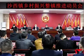 古雷开发区沙西镇召开乡村振兴整镇推进动员会图片