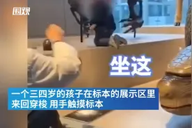 博物馆内“熊孩子”肆意攀爬 家长还在一旁喊“坐这”图片