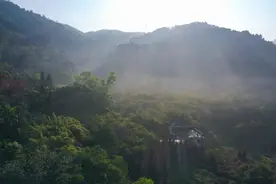 滴！下一站，春天的东莞！图片