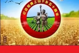 【芦山地方志·历史记忆】尹峰｜回忆录连载:我的知青岁月(四)——深山中伐木图片