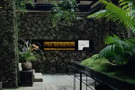 “春日买花攻略”第一弹！这些网店让你足不出户，在阳台坐拥春天图片