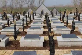 禹城张庄镇建设“绿色”墓园，百姓“身后事”的民生工程落地生根图片