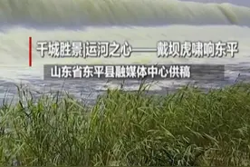 千城胜景｜运河之心——戴坝虎啸响东平视频封面