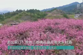 走出家门！贵州三都桃花盛开带火乡村游视频封面