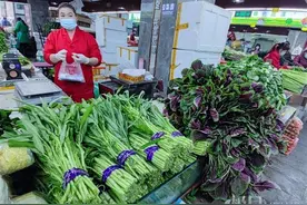 红苋菜、空心菜8元多一斤，市民惊呼“春天的味道”很有点贵图片