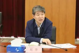 生态环境部原副部长刘华就任国际原子能机构副总干事图片