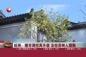 杭州：楼市调控再升级  法拍房纳入限购视频封面