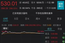 中一签暴赚24万！刚刚，科创板最赚钱新股纪录被刷新！也有股民哭了：开板即跌停图片
