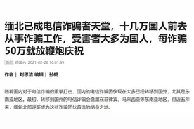 境外电信诈骗团伙骗到50万就放烟花庆祝？警方：确实有这种情况图片
