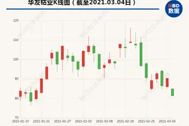 17万股东惊呆了！千亿有色龙头股8分钟闪崩跌停，109亿资金灰飞烟灭！网友：“赵老哥”走了？图片