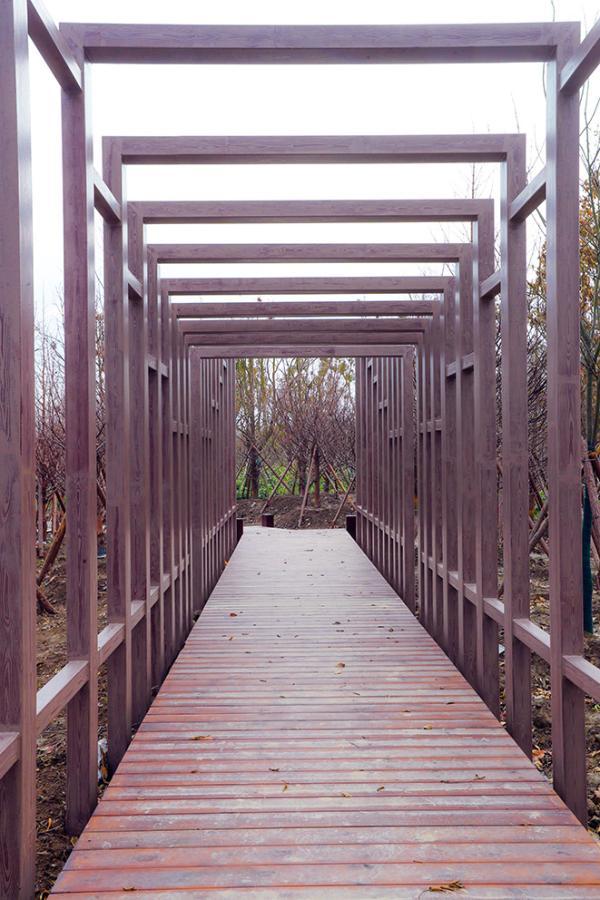 崇明花博会福建展园主体工程完工