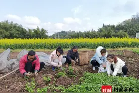 扶贫路上的“娘子军”带领村民跳出“幸福舞”图片
