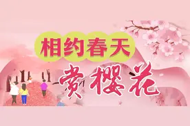 人间三月芳菲始，踏青赏花正当时，黄冈百花烂漫等你来图片