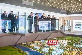 务实推进九华新片区规划和开发 助力长株潭一体化建设图片