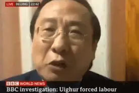BBC涉疆报道连线中国学者遭怒怼：“你们真该好好做功课！”图片