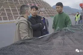 有人无证偷运几十头生猪，乐山执法人员查处不手软图片
