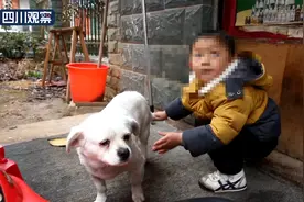 咋回事？3岁男童走丢民警却去找狗图片
