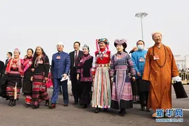 收藏！看懂今年两会必备的8个双语关键词图片