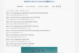 四川晒出20家省属企业负责人“工资条”，来看看他们的年薪是多少？图片